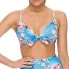 Sunseeker Portabello D Cup Moulded Push Up Bikini Bra